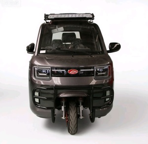 Tricycle à moteur à trois roues pour passagers, <span class=keywords><strong>taxi</strong></span> <span class=keywords><strong>moto</strong></span>, cylindrée 250 cm³, tricycle fermé pour le transport de passagers - Product Image 2