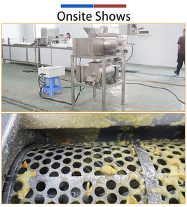 Ligne de traitement d'avocat personnalisée : machine de lavage, séchage, tri et pulpage d'avocat - Product Image 3