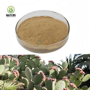 Puur Natuurlijke Hoodia Gordonii Poeder Plant <span class=keywords><strong>Extract</strong></span> Hoodia Gordonii Leveranciers Hoodia Gordonii Cactus <span class=keywords><strong>Extract</strong></span> - Product Image 1