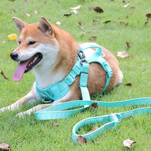 <span class=keywords><strong>Harness</strong></span> Anjing Sport Desainer Baru Warna Kustom, Tali dan <span class=keywords><strong>Harness</strong></span> Anjing Nylon Sederhana Berbahan Jaring Lembut dan Bernapas - Product Image 2