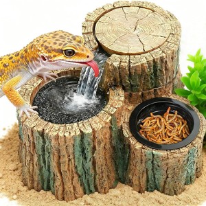 เครื่องจ่ายน้ำสำหรับสัตว์เลื้อยคลาน, ชามน้ำขนาด 550 มล., อุปกรณ์สำหรับสัตว์เลี้ยงแปลกใหม่ เช่น ตุ๊กแกและกิ้งก่า, เครื่องจ่ายน้ำสำหรับแมลง - Product Image 1