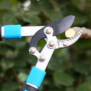 Cisailles de taille télescopiques Mountain Wisteria, lame de 50 mm en acier allié, robustes pour les branches épaisses, usage en jardinage - Product Image 2