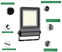 5 ans de garantie réflecteur LED 30W 50W 100W projecteur IP66 extérieur LED projecteurs 150W 200W 250W 300W lumière de terrain de basket