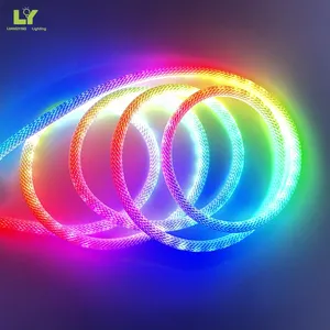 Cheap Personalized Custom Wholesale New Arrival Lighting Outdoor Running Rgb Neon Strip Light Waterproof