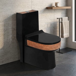 WC monobloc de luxe en céramique, design ligne dorée et noire, à poser au sol, équipement sanitaire pour salle de bain - Product Image 1
