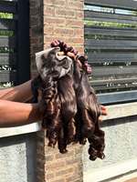Cheveux naturels indiens et cambodgiens de qualité supérieure, cheveux humains bruts, lisses, ondulés naturels, bouclés birmans, en lots, cuticules alignées