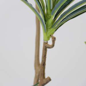 Plante artificielle en plastique Dracaena Reflexa pour aménagement paysager, plante en pot artificielle, ornement de jardin, décoration de bureau, décoration de la maison, plantes artificielles - Product Image 3