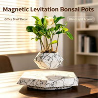 Macetas de Bonsái Flotantes de Levitación Magnética, Macetas Giratorias con Flores Preservadas, Regalo Creativo y Personalizado
