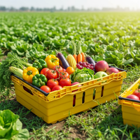 Caisse en plastique durable et écologique HAOSEN - Empilable et emboîtable pour la transformation alimentaire et l'emballage des légumes