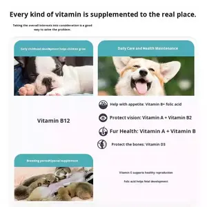 Suplemento nutricional multivitamínico para mascotas en todas las etapas Suplemento diario para la salud de mascotas Mejora la condición física de gatos y perros - Product Image 6