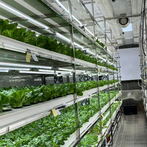 Sistema de Cultivo Hidropónico Inteligente para Contenedores de 20 pies, con Control Inteligente, Riego Aeropónico, Control Remoto por WiFi, Cultivo de Lechuga y Hojas Verdes - Product Image 1