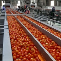 Mango Pulp Productie/Mango Verwerkingsbedrijf/Fruit Proces Machine