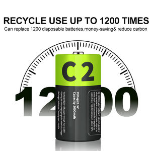 IILEER 4800mAh 3000mAh 1,5 V Batería pequeña C2 D1 Baterías de iones de litio recargables con cable de carga tipo C - Product Image 4