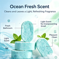 Tablettes nettoyantes biodégradables pour salle de bain, écologiques, multi-surfaces, pour une entretien ménager durable