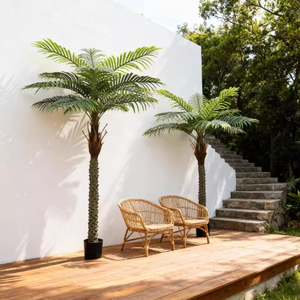 ต้นมะพร้าว<span class=keywords><strong>เทียม</strong></span> ต้นปาล์ม<span class=keywords><strong>ขนาด</strong></span><span class=keywords><strong>ใหญ่</strong></span> ต้นไม้สีเขียว ต้นอะรีกา สำหรับ<span class=keywords><strong>ตก</strong></span>แต่งหน้าต่างภายนอก โรงแรม - Product Image 2