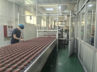 Nouvelles bougies parfumées créatives en cire de soja à faible MOQ pour la décoration, bougies parfumées de luxe en bouteille de verre avec marque privée
