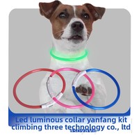 Collier LED pour chien, rechargeable par USB, taille réglable, collier lumineux étanche, 3 modes clignotants pour la sécurité des promenades nocturnes