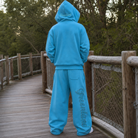 Conjunto de 2 Piezas Personalizado OEM para Hombre, 100% Algodón, Sudadera con Cierre y Pantalones Deportivos Anchos, Bordado con Pedrería, Ropa Urbana