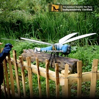 MyDino Grand Déménagement Insectes Animatroniques Libellule