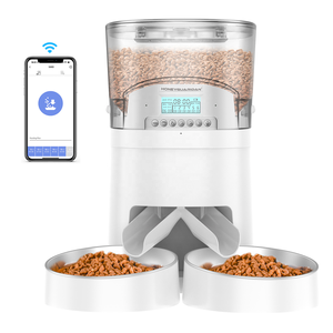 Factory Directly 4L sell Automatic feeding cat with two way splitter for Cats Animals dog food storage container