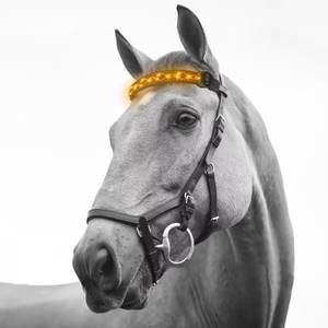 Collier de tête de cheval lumineux à LED équestre - Rechargeable, réfléchissant, respirant, utilisation estivale, polyester, nylon, réglable pour cheval - Product Image 4