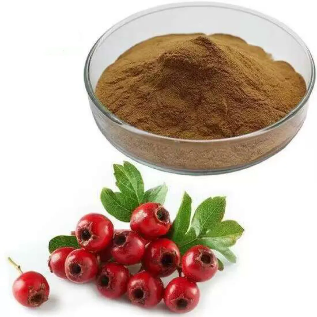 China Fabrikant Hoge Kwaliteit 5% Flavonoïden Meidoorn Blad Extract Poeder 100% Pure Meidoorn Berry Extract Met Bulk Prijs