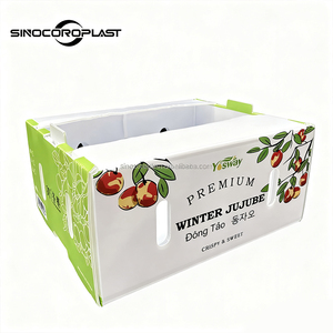 Boîte en plastique ondulé PP étanche pour mangoustans, emballage de fruits pour exportation en chaîne du froid - Product Image 5