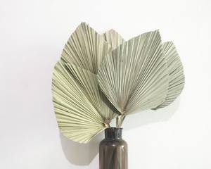 Abanico de hojas de palma secas de bambú decoración del hogar material natural elegante - Product Image 1