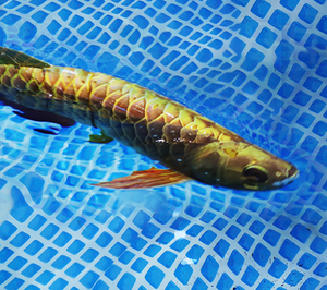 ROBOLAB-GL STEM Giáo Dục Robot Lập Trình Robot Học Tập Đồ Chơi Trẻ Em Mã Hóa Thí Nghiệm Khoa Học Tương Tác Gốc - Product Image 3