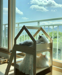 Lit pour animaux de compagnie <span class=keywords><strong>Tour</strong></span> de chat de luxe <span class=keywords><strong>Tour</strong></span> de chat pour chats d'intérieur - Product Image 5