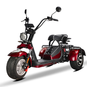 Tricycles électriques puissants Loyal Citycoco 4000w 40ah, motos électriques à trois roues, tricycles - Product Image 6