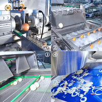 Industriële ui-verwerkingslijn, automatische ui-schil-, was- en snijmachine, groenteverwerkingslijn