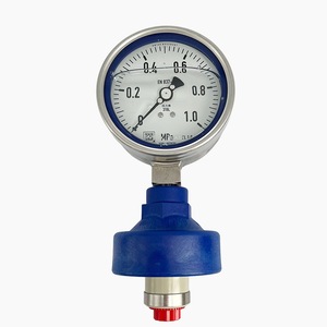 Manomètre Wika 100 mm 0-0,06 à 0-160 Mpa, connexion filetée, usage industriel chimique - Product Image 4