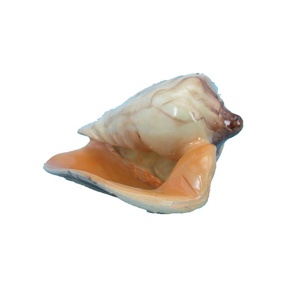 Escultura de concha personalizada, artesanías de resina, adornos artificiales para pecera y estatuilla de concha marina para la decoración del acuario del hogar - Product Image 1