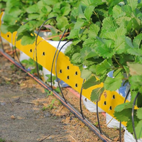 Pièges à insectes agricoles adhésifs forts durables pour cibler divers insectes