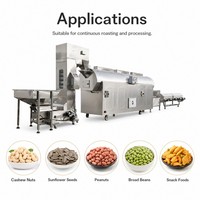 Ligne de production commerciale continue de noix de cajou et de graines de tournesol, équipement de torréfaction, prix de la machine.