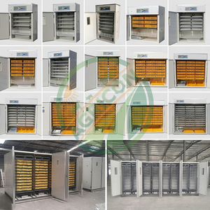 Incubadora Automática Industrial para 1056 Huevos, Alta Tasa de Incubación, Volteador Digital, Incubadora de Aves de Corral, Equipo de Incubación Duradero - Product Image 6