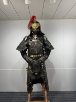Manteau de soldat chinois ancien pour homme, costume de guerrier noir, plume rouge, casque de bête dorée, reconstitution historique