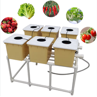 Système hydroponique de serre à seaux hollandais : pots de culture hors-sol à irrigation goutte-à-goutte (convient aux légumes, aux fruits)
