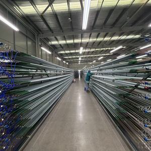 Tripas Secas de <span class=keywords><strong>Cerdo</strong></span> Aptas para Uso Alimentario Directamente de Fábrica para Exportación, Tripas Naturales Secas para Salchichas y Embutidos, Marca Shengxin en Caja - Product Image 2