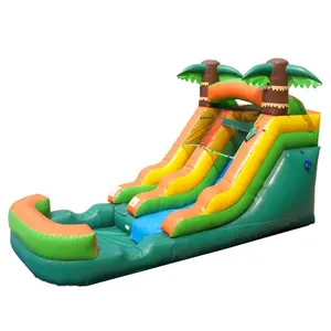 Kommerzielle billige Kanal gefroren 5 In1 Jumper Combo Hindernis Türsteher Haus aufblasbare Baby Bounce Castle Wasser rutsche zu verkaufen