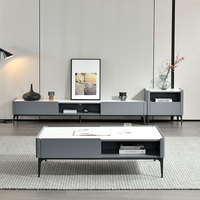Meuble TV et Table Basse Minimalistes Modernes, Combinaison Luxe Léger, Mobilier Multifonctionnel de Petite Taille pour Salon d'Hôtel et Maison