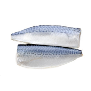 سمك الماكريل عالي الجودة ، سمك الماكريل ، سمك الماكريل ، فيليه - Product Image 6