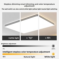 Nouveau modèle 2026 – Plafonnier moderne et élégant pour salon, couloir, chambre principale – Luminaire suspendu à montage en surface, grand format