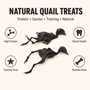 Friandises pour chiens au poulet noir séché à l'air, <span class=keywords><strong>recette</strong></span> traditionnelle pour la santé et la vitalité, viande séchée naturelle pour chiens - Product Image 3