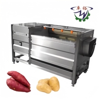 Nieuwe automatische fruit- en groentewasmachine met borstel voor aardappelen, gember, wortelen, zeevruchten etc.