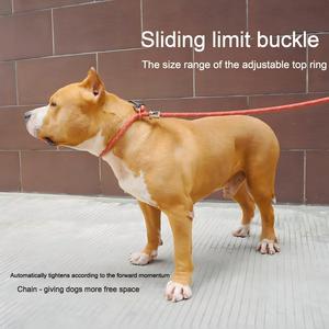 Toptan Dayanıklı Polyester Naylon Köpek Tasması Kayışlı Tasma P Zinciri Kurdele Süslemeli Saf Düz Renk Açık Hava Köpek Yürüyüş Tasması - Product Image 1