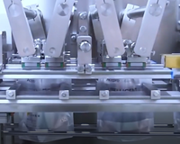 Pompe électrique entièrement automatique haut de gamme pour machine pour sacs alimentaires en plastique/film/feuille pour produits en poudre/liquide/granulés