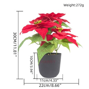 Flores Navideñas Artificiales H543, <span class=keywords><strong>Flor</strong></span> <span class=keywords><strong>de</strong></span> <span class=keywords><strong>Pascua</strong></span> en Macetas <span class=keywords><strong>de</strong></span> Plástico, Popular para Decoración Navideña <span class=keywords><strong>de</strong></span> Escritorio, Hogar y Sala <span class=keywords><strong>de</strong></span> Estar - Product Image 6