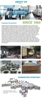 Meule en céramique de corindon rouge chromé PA46L 250*25*32, outils abrasifs personnalisés, 10 pouces, directement de l'usine